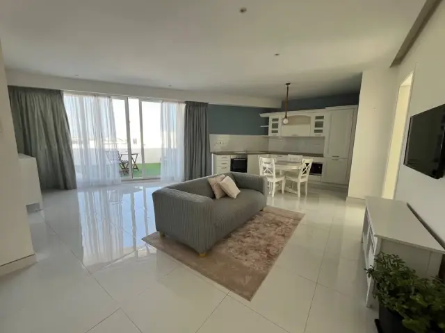 2-Bedroom Penthouse