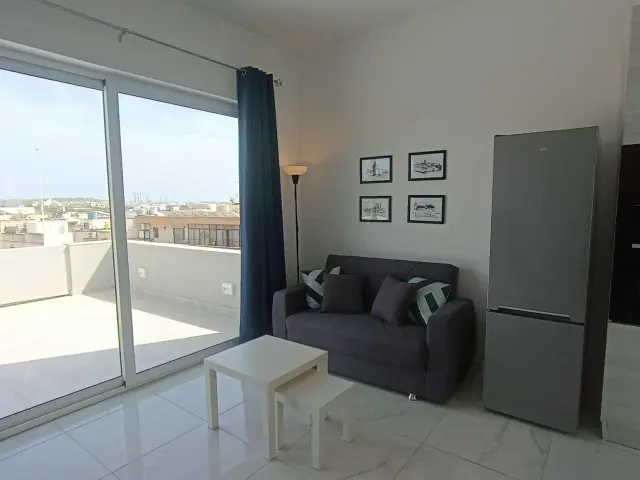 1-Bedroom Penthouse