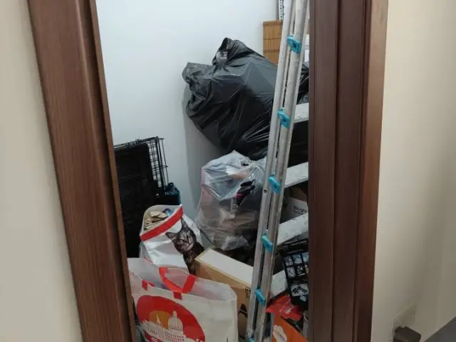 3-Bedroom Apartment