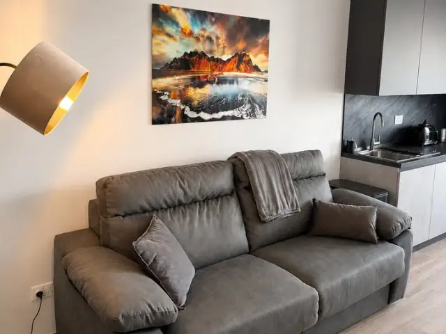 1-Bedroom Apartment
