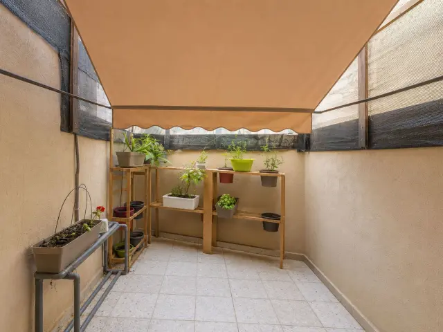 4-Bedroom Apartment