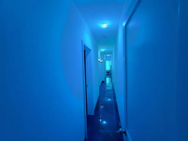 3-Bedroom Apartment